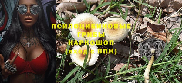 эйфоретик Алзамай