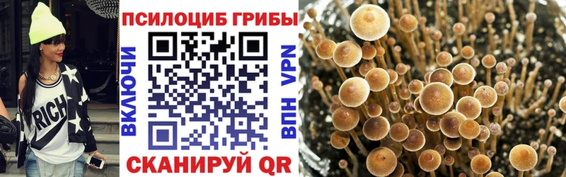 Псилоцибиновые грибы прущие грибы  Щёлкино 